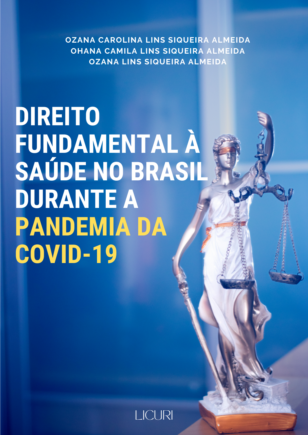 					Visualizar Direito fundamental à saúde no Brasil durante a pandemia da COVID-19
				